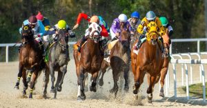 Datos y Picks para Tampa Bay Downs hoy 22 de noviembre MasterBets365