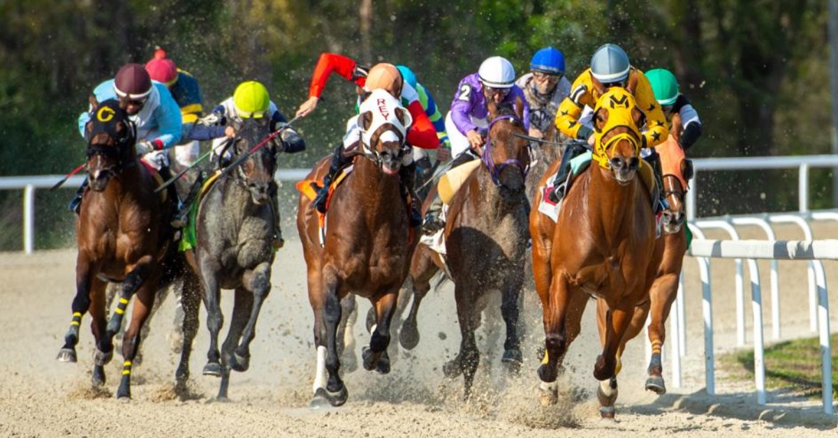 Datos y Picks para Tampa Bay Downs hoy 22 de noviembre MasterBets365