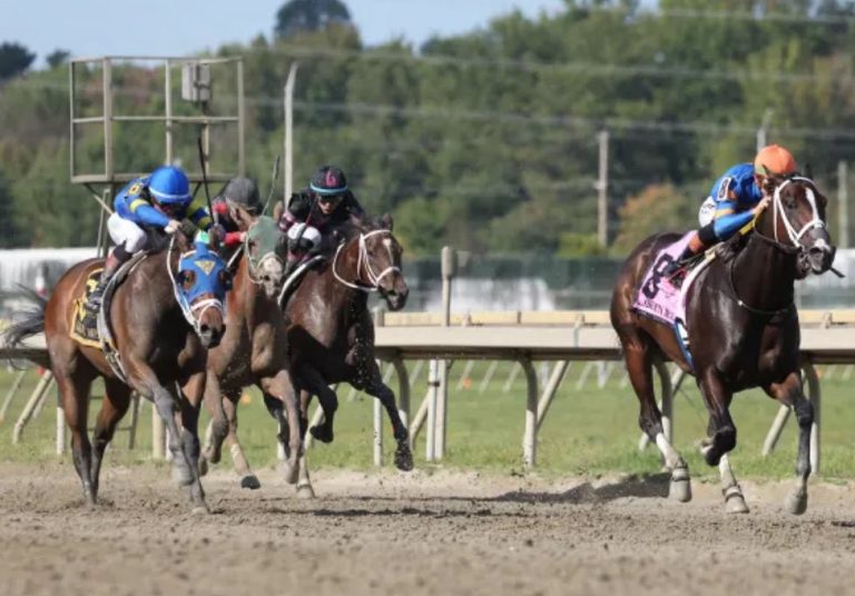 Parx racing en vivo hoy: Resultados carreras americanas hoy MasterBets.com