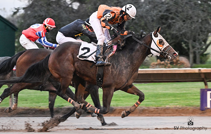 Finger lakes en vivo: Marcas carreras americanas MasterBets365.com