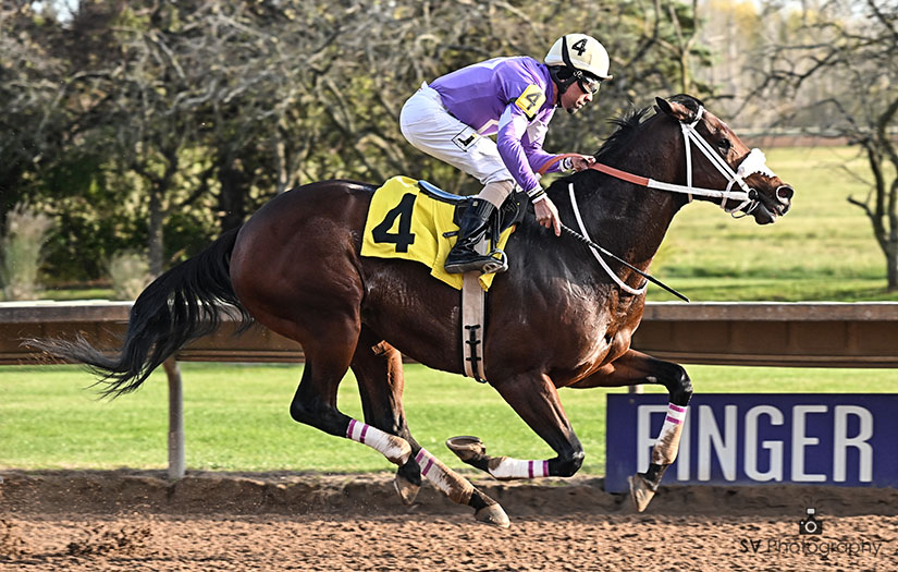 Finger lakes en vivo: Resultados carreras americanas hoy MasterBets365.com