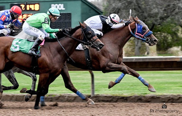 Finger lakes picks: Apuestas de caballos internacionales MasterBets365.com