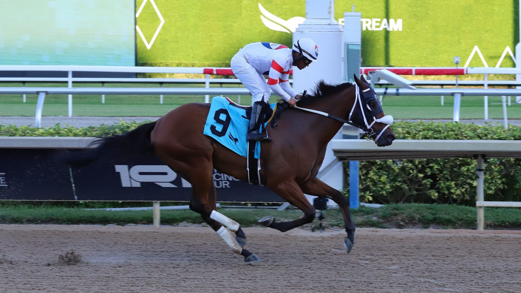 Datos de gulfstream park hoy gratis: Resultados de las carreras americanas de hoy MasterBets.com