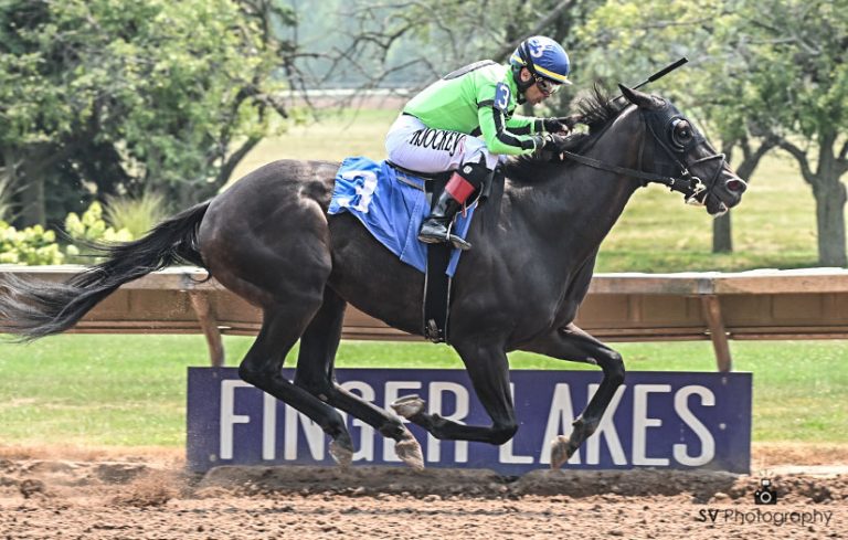 Datos de finger lakes: Resultados de las carreras americanas de hoy MasterBets.com