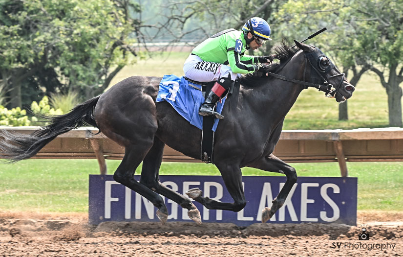 Datos de finger lakes: Resultados de las carreras americanas de hoy MasterBets.com