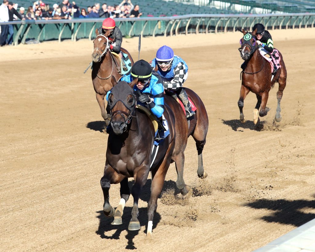 Churchill downs carreras en vivo: Hipismo internacional en vivo hoy MasterBets.com