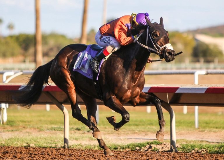 Turf paradise en vivo: Resultados de las carreras americanas de hoy MasterBets.com