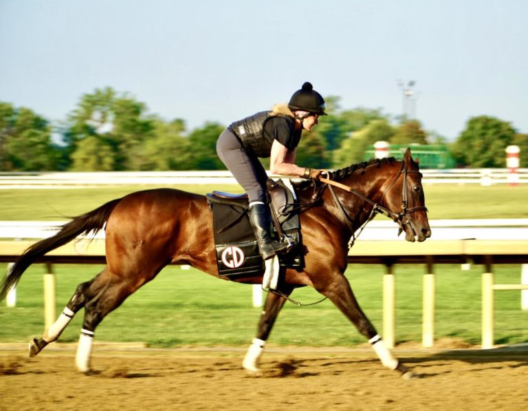 Resultados mahoning valley: Tabla de dividendos carreras americanas MasterBets.com