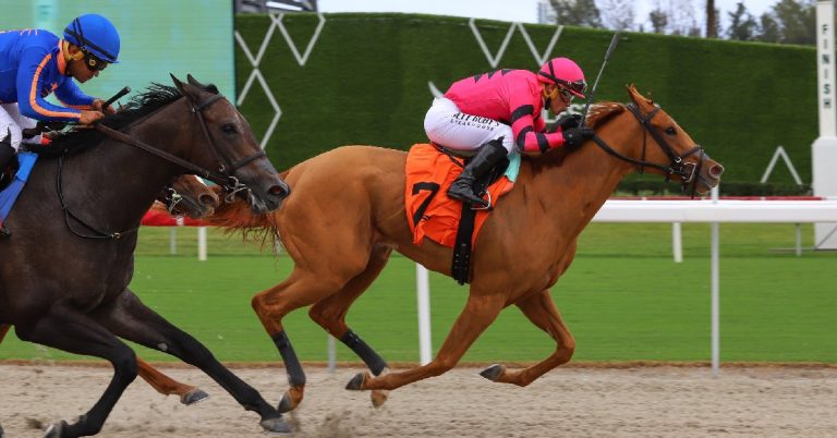 Gulfstream Park picks de hoy 30 de noviembre MasterBets365