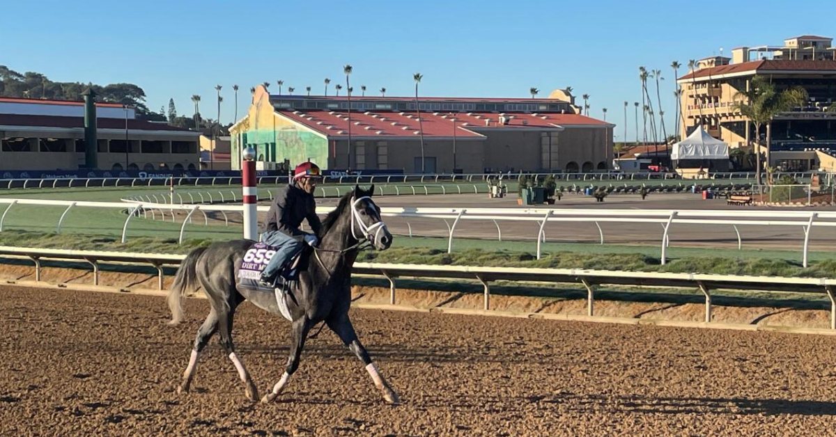 Hipódromo Del Mar - Pronósticos y datos fijos para hoy 29 de noviembre MasterBets365
