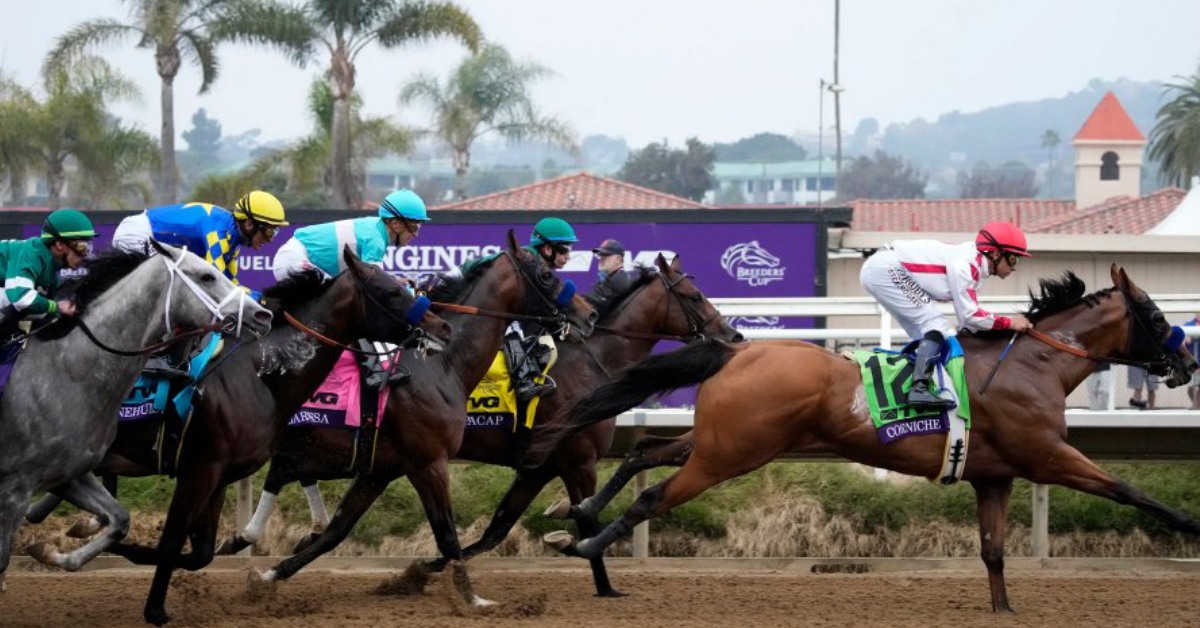 Hipódromo Del Mar racing - Pronósticos y Picks 30 de noviembre MasterBets365
