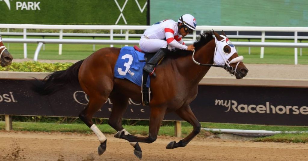 Pronóstico Gulfstream Park Carreras de Caballos hoy 15 de noviembre MasterBets365