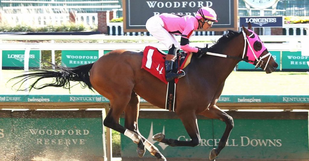 Pronósticos y Picks para las carreras de Churchill Downs hoy 15 de noviembre MasterBets365