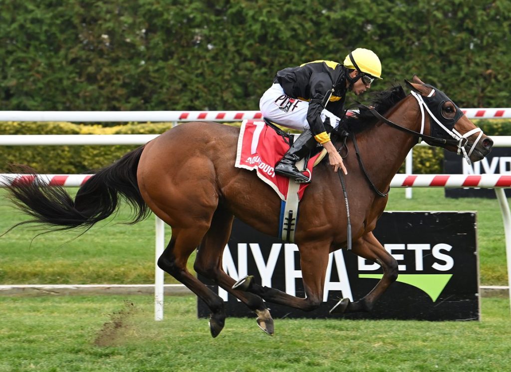 Aqueduct picks: Hipismo internacional en vivo hoy MasterBets.com