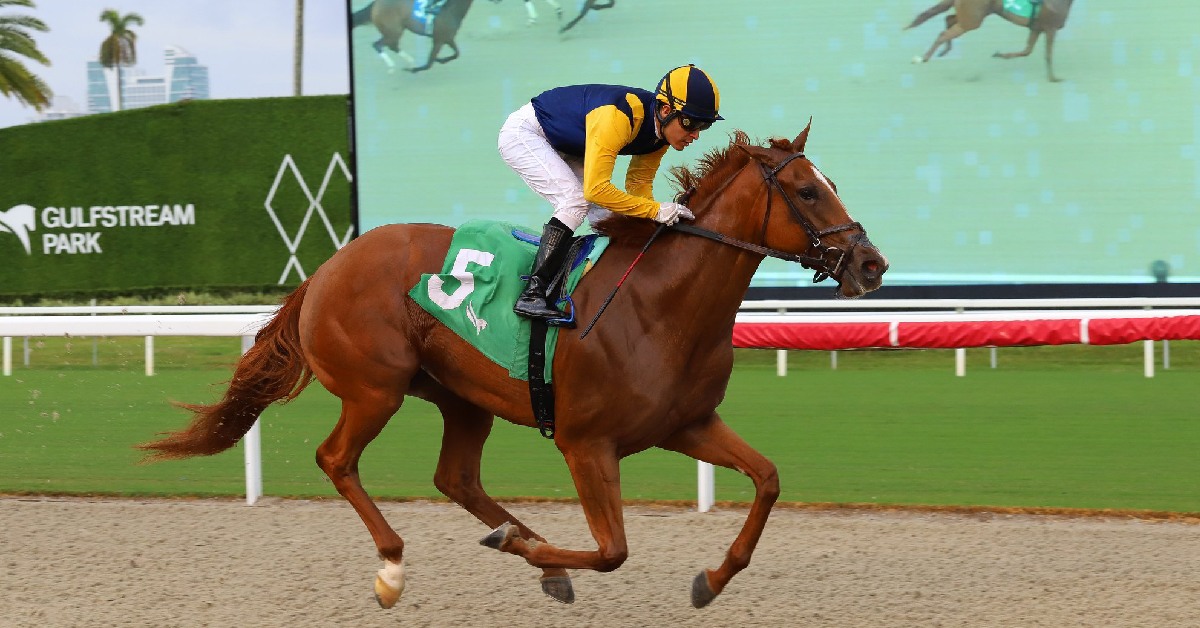 Últimos datos de Gulfstream Park hoy gratis 29 de noviembre MasterBets365