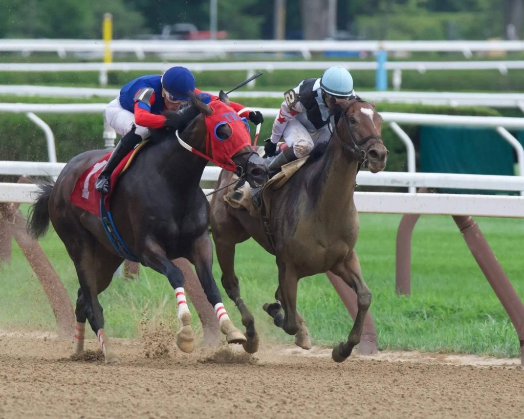 Datos parx racing hoy: Tabla de dividendos de caballos americanos MasterBets365.com
