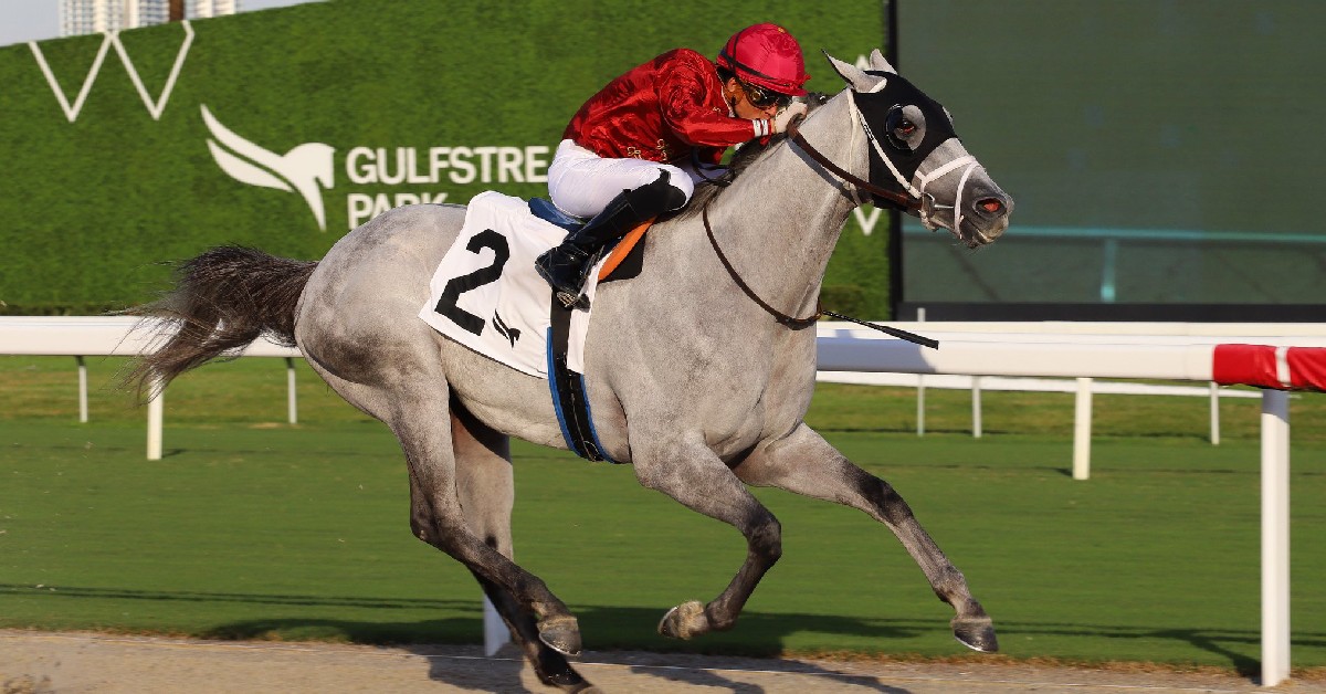 Datos fijos de Gulfstream Park hoy 13 de diciembre MasterBets365