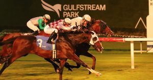 Datos fijos de Gulfstream Park hoy 14 de diciembre MasterBets365 carreras americanas