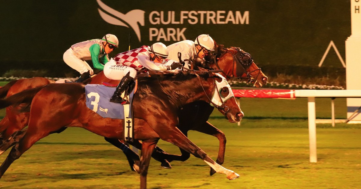 Datos fijos de Gulfstream Park hoy 14 de diciembre MasterBets365 carreras americanas