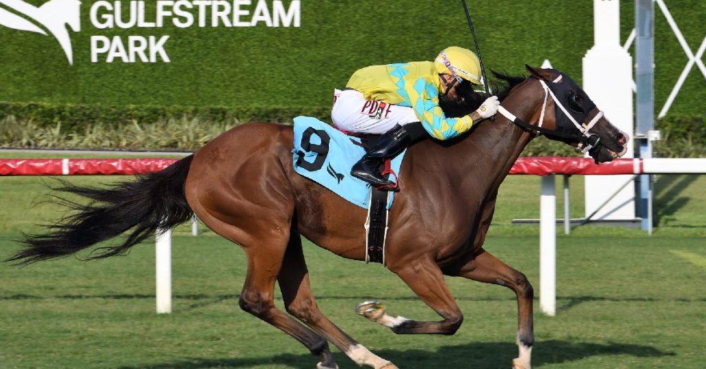 Datos fijos de Gulfstream Park hoy 26 de diciembre carreras americanas MasterBets365