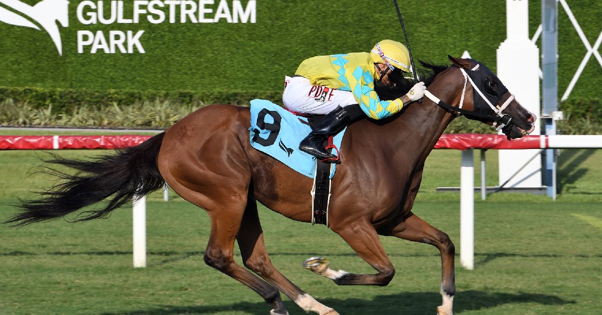 Datos fijos de Gulfstream Park hoy 26 de diciembre carreras americanas MasterBets365