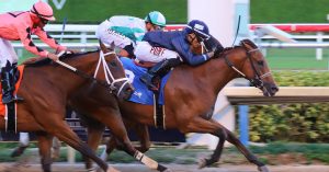 Datos fijos de Gulfstream Park para hoy 7 de diciembre MasterBets365