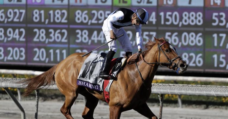 Datos para Tampa Bay Downs hoy 20 de diciembre carreras americanas masterbets365