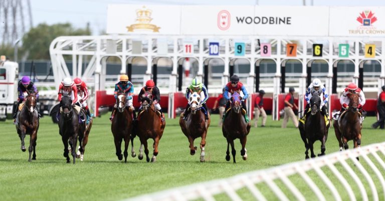 Datos para Woodbine hoy 14 de diciembre MasterBets365