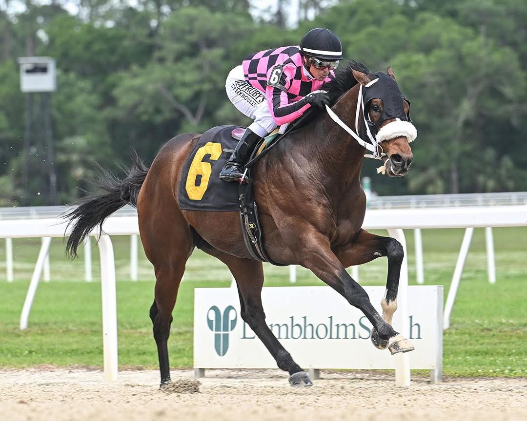 Tampa bay downs picks: Tabla de dividendos carreras americanas MasterBets.com