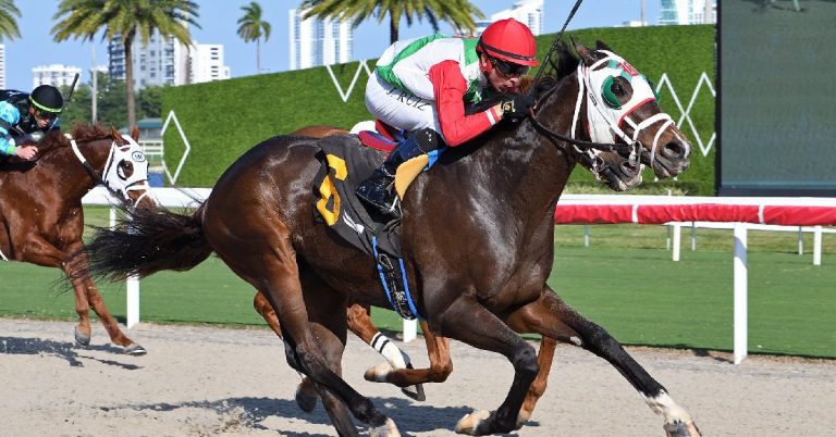 Gulfstream Park datos fijos de hoy 6 de diciembre MasterBets365 carreras americanas
