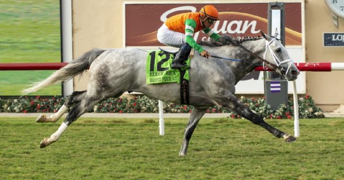Marcas Aqueduct de hoy 14 de Diciembre datos carreras americanas masterbets365