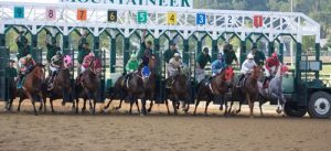 Hipismo internacional picks: Mountaineer park results MasterBets.com