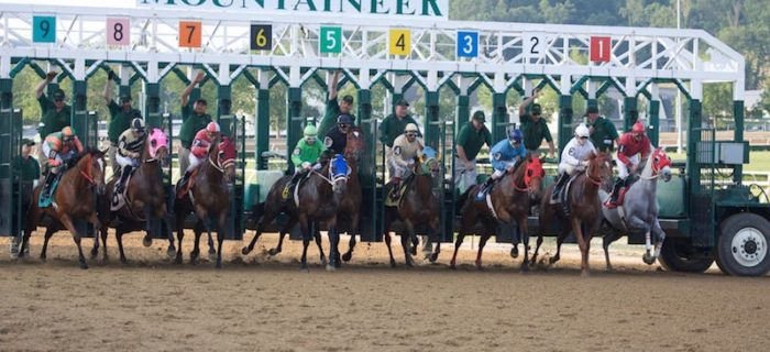 Hipismo internacional picks: Mountaineer park results MasterBets.com