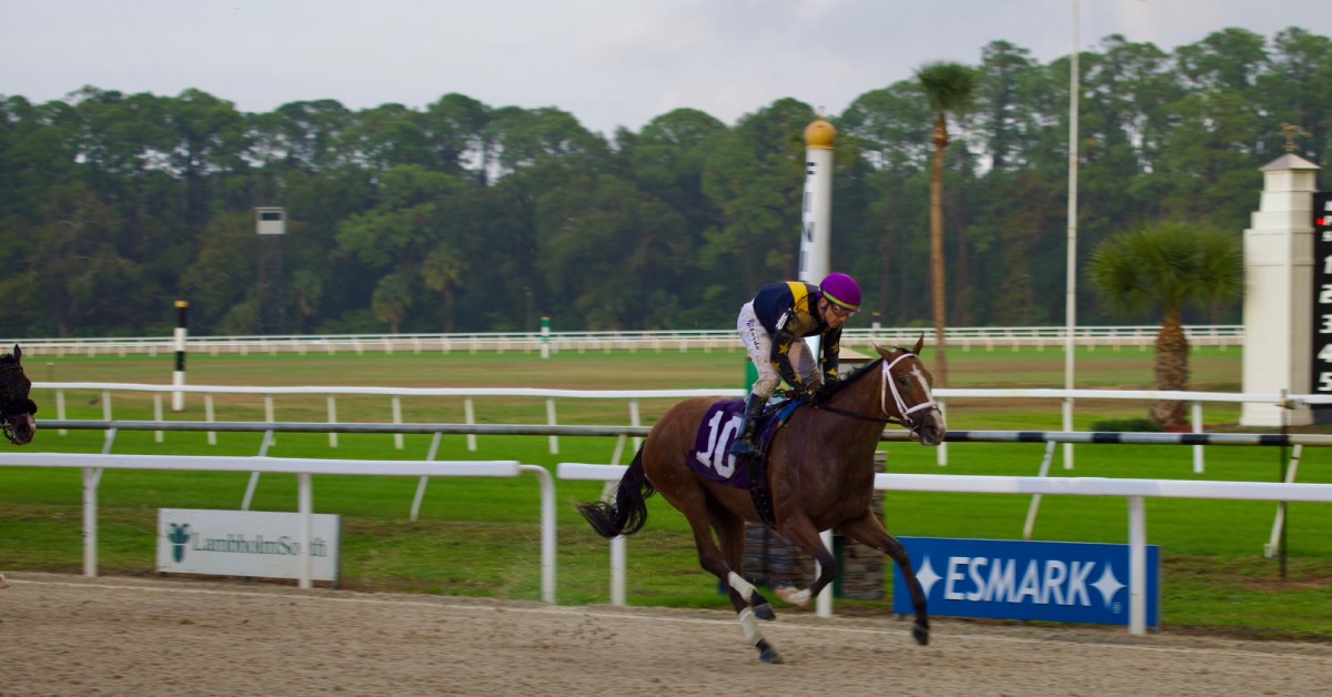 Retrospecto de Tampa Bay Downs de hoy 13 de diciembre MasterBets365
