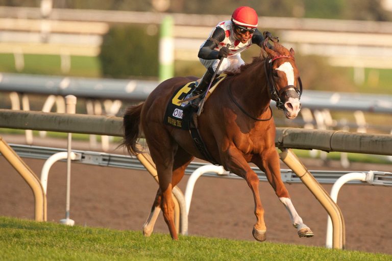 Win-For-The-Money-horse-Ramsey-Farm-Rogers-Woodbine-Mile-Stakes-sabado-14-de-septiembre-de-2024-Woodbine