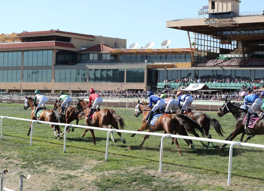 Turf paradise resultados: Tabla de dividendos carreras americanas MasterBets.com