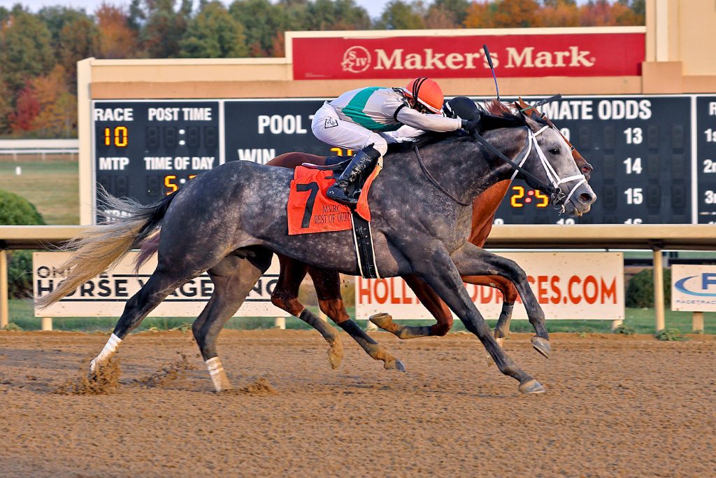 Datos mahoning valley hoy: Datos para las carreras de hoy MasterBets.com