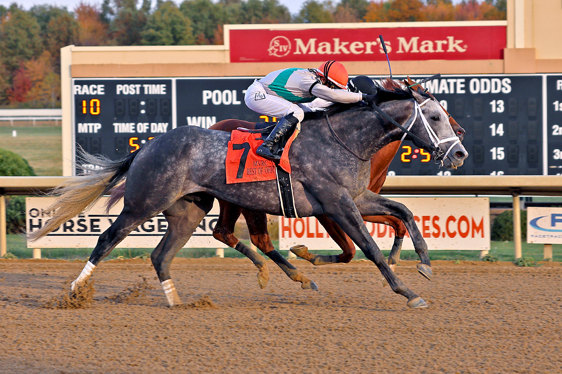 Datos mahoning valley hoy: Datos para las carreras de hoy MasterBets.com