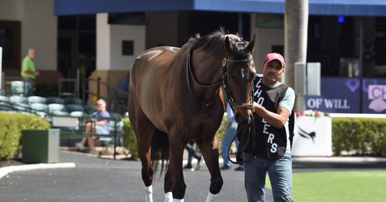 Carreras de caballos Gulfstream Park programa de hoy 18 de enero masterbets365 carreras de caballo