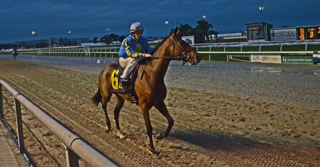 Datos Fair Grounds hoy 1 de febrero Masterbets365 carreras americanas