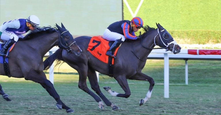 Datos de carreras americanas Gulfstream Park hoy 11 de enero pronosticos y picks masterbets365