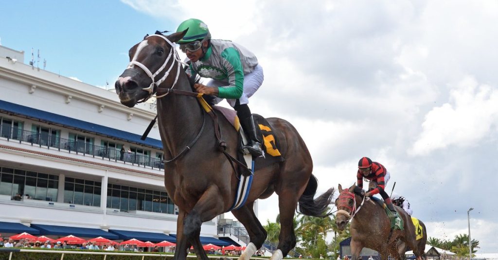 Datos de carreras americanas Gulfstream Park hoy 3 de enero MasterBets365