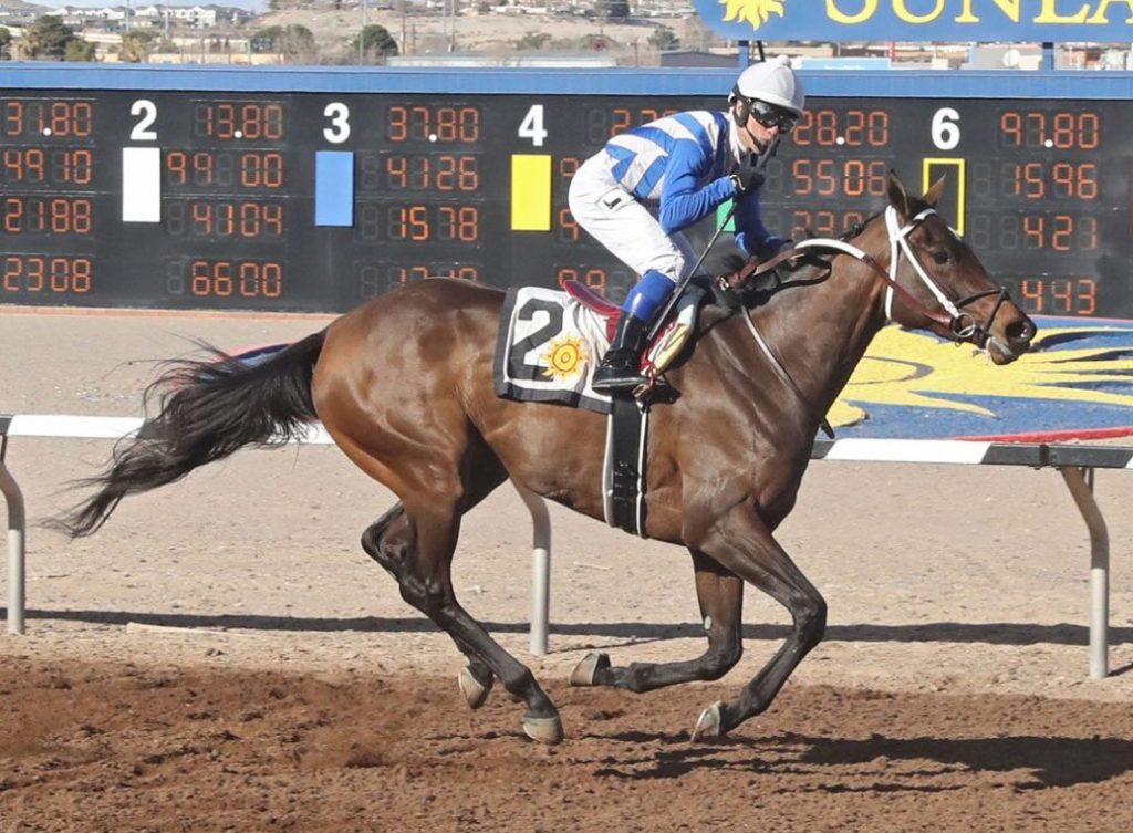 Sunland Park en vivo: Best bet carreras americanas MasterBets.com