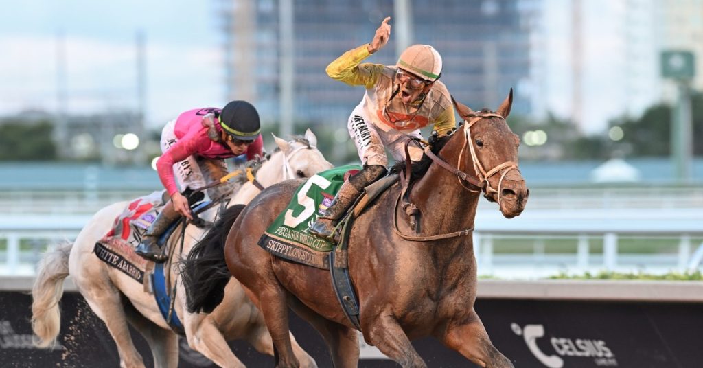 Gulfstream Park picks hoy 25 de enero datos fijos gratis en MasterBets365