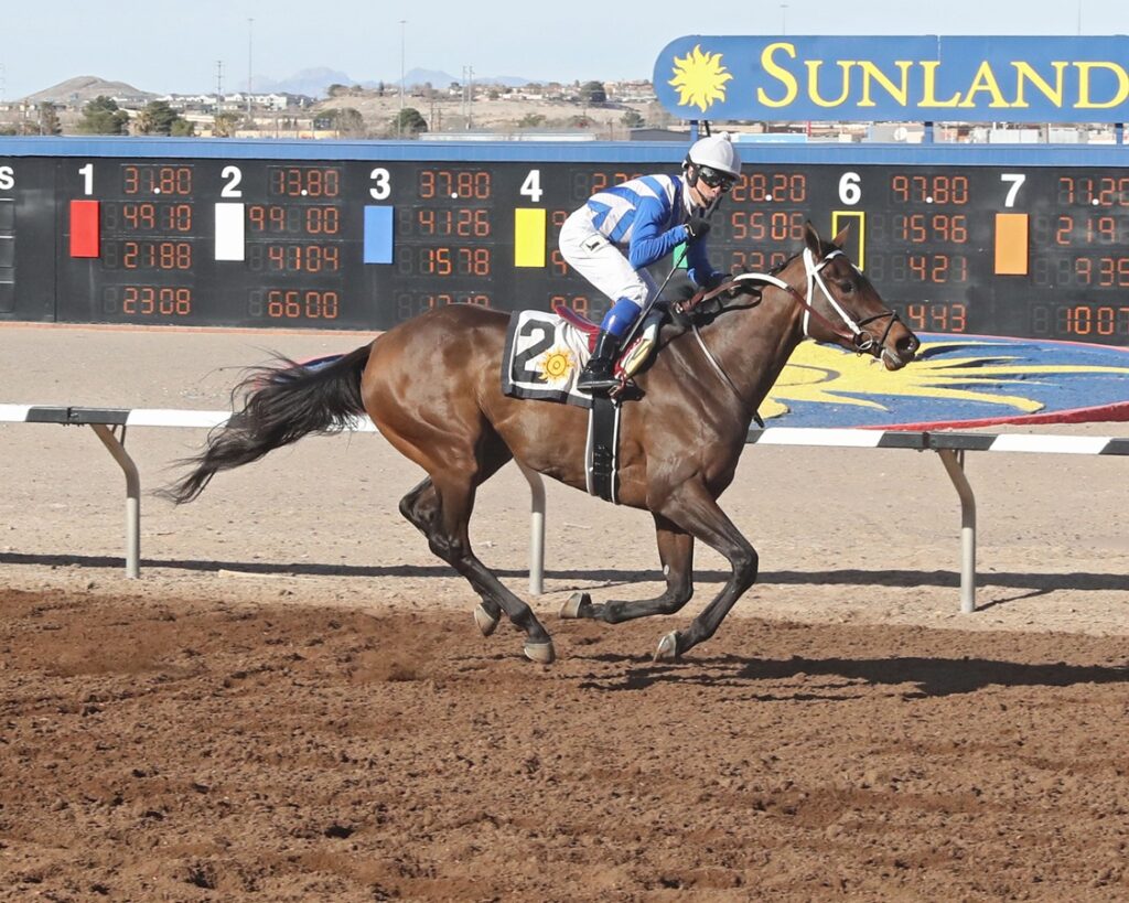 Sunland park picks: Retrospecto de carreras americanas para hoy MasterBets.com