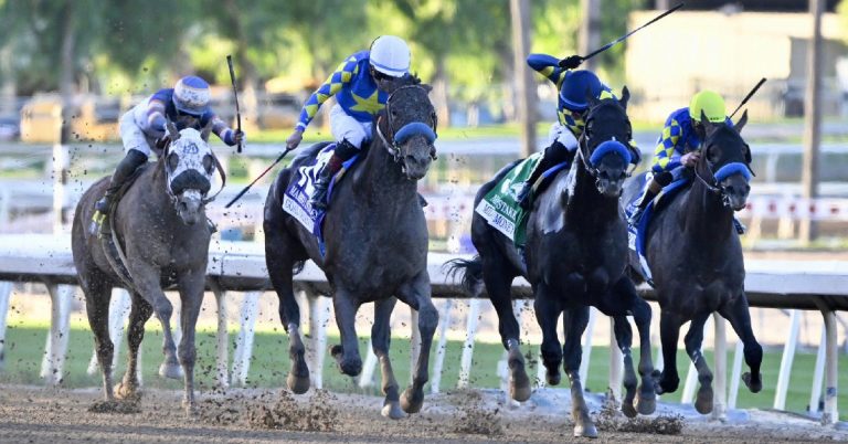 Santa Anita Park picks hoy 25 de enero datos y resultados de carreras americanas