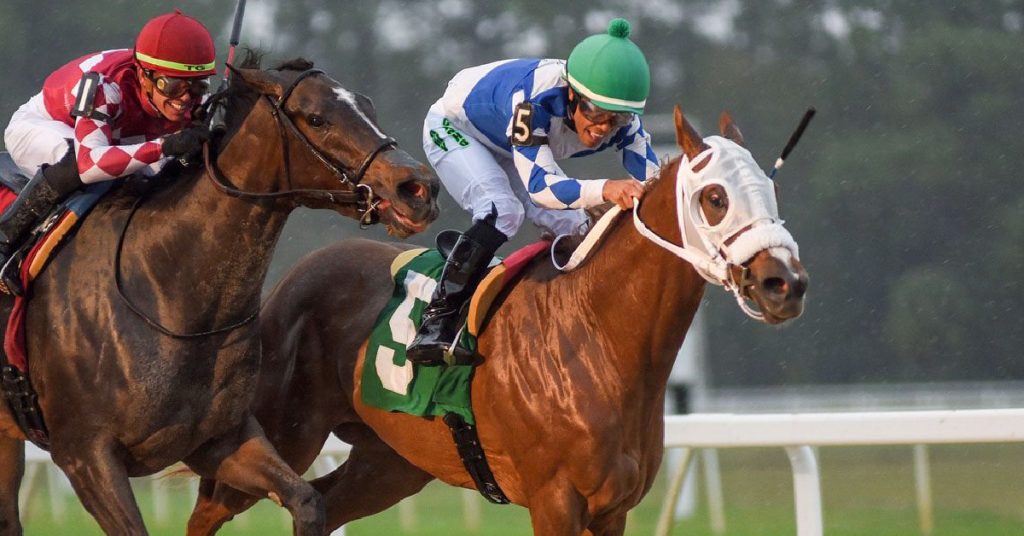 Tampa Bay Downs picks de hoy 25 de enero Masterbets365 datos fijos carreras americanas