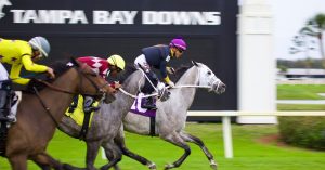 Tampa Bay Downs picks hoy 18 de enero seleccion carreras americanas masterbets365