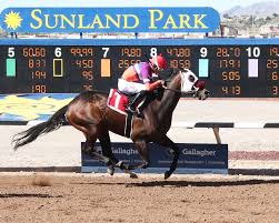 Sunland park picks: Retrospecto de carreras americanas para hoy MasterBets.com