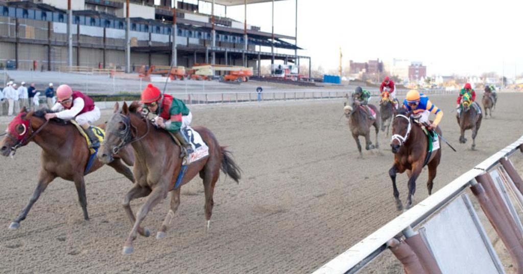 Datos Aqueduct picks hoy 28 de febrero MasterBets365 carreras americanas